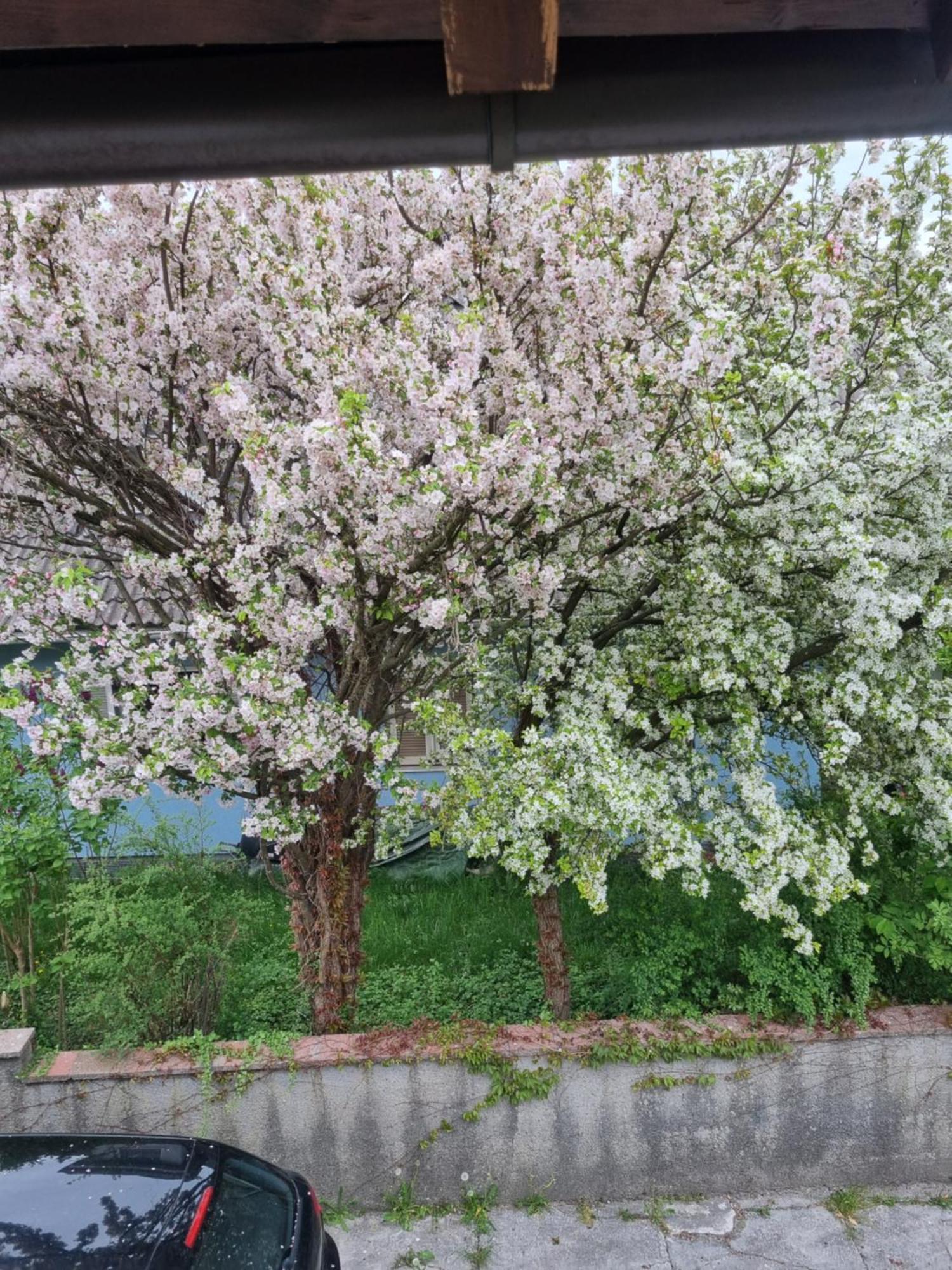 Ferienwohnung Anna 그로딕 외부 사진